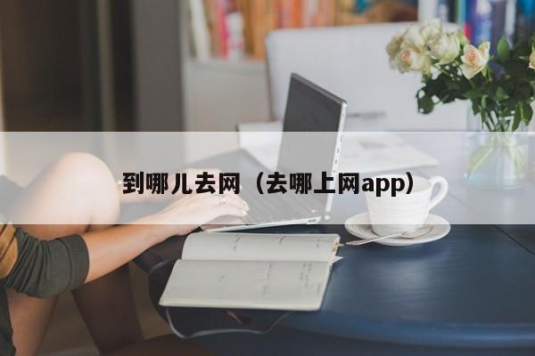 到哪儿去网（去哪上网app）