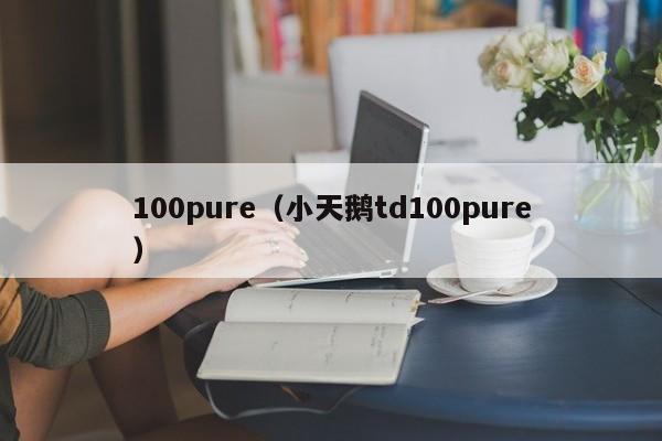 100pure（小天鹅td100pure）