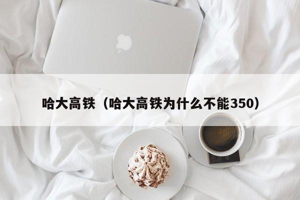 哈大高铁（哈大高铁为什么不能350）  第1张