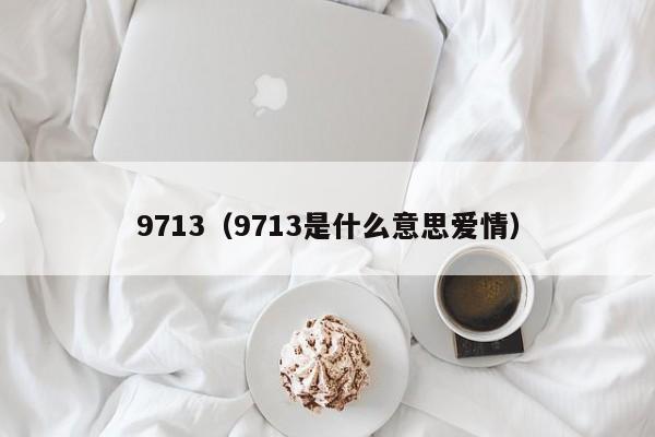 9713（9713是什么意思爱情）  第1张