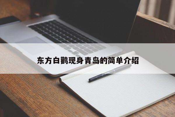 东方白鹳现身青岛的简单介绍  第1张