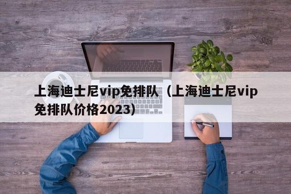 上海迪士尼vip免排队（上海迪士尼vip免排队价格2023）