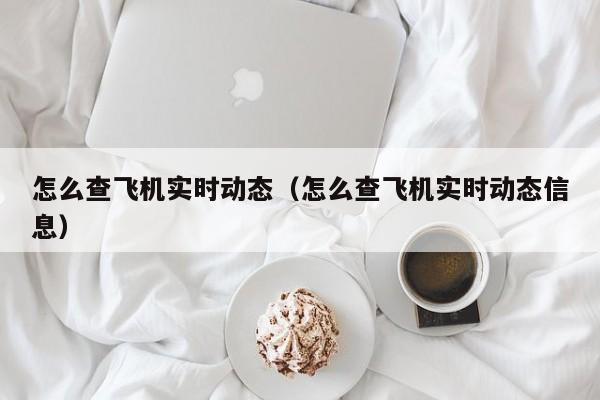 怎么查飞机实时动态（怎么查飞机实时动态信息）