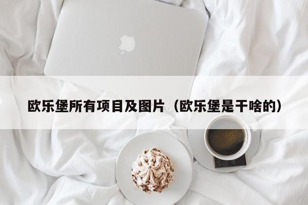 欧乐堡所有项目及图片（欧乐堡是干啥的）