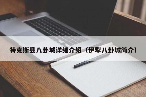 特克斯县八卦城详细介绍（伊犁八卦城简介）