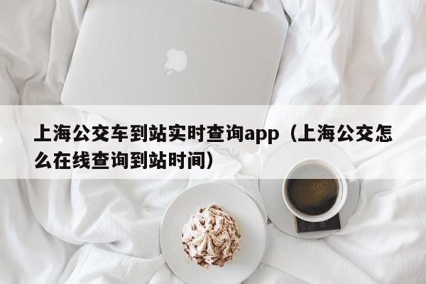 上海公交车到站实时查询app（上海公交怎么在线查询到站时间）