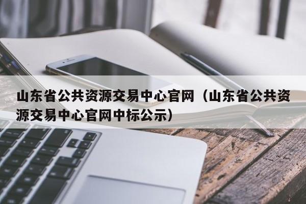 山东省公共资源交易中心官网（山东省公共资源交易中心官网中标公示）  第1张