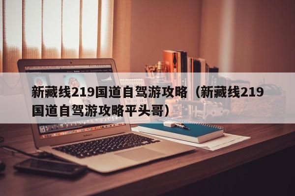 新藏线219国道自驾游攻略（新藏线219国道自驾游攻略平头哥）  第1张